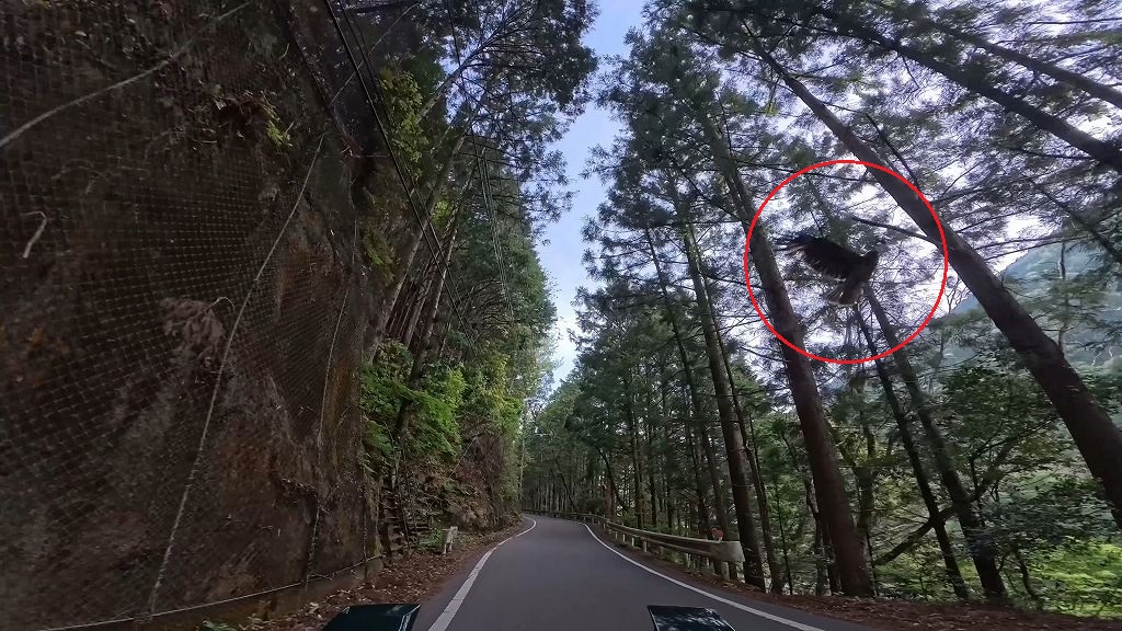 国道169号(北山〜上北山区間)